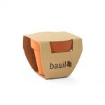 BASILI. Glineni lonac s bosiljkom (96124)